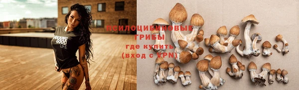 ALPHA PVP Сафоново