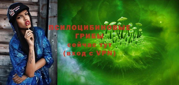 прущие крисы Арсеньев