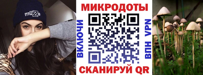 Галлюциногенные грибы Psilocybe  Адыгейск 